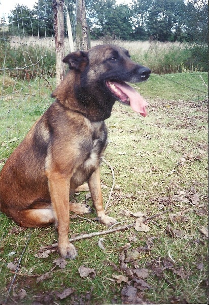 Dinga du val de chezine